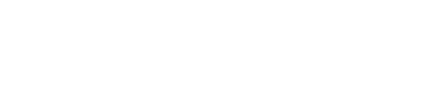 Shin Logistics - Logo